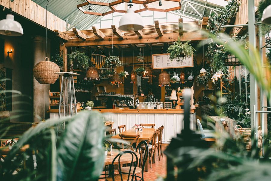 A bright café filled with plants and hanging lights