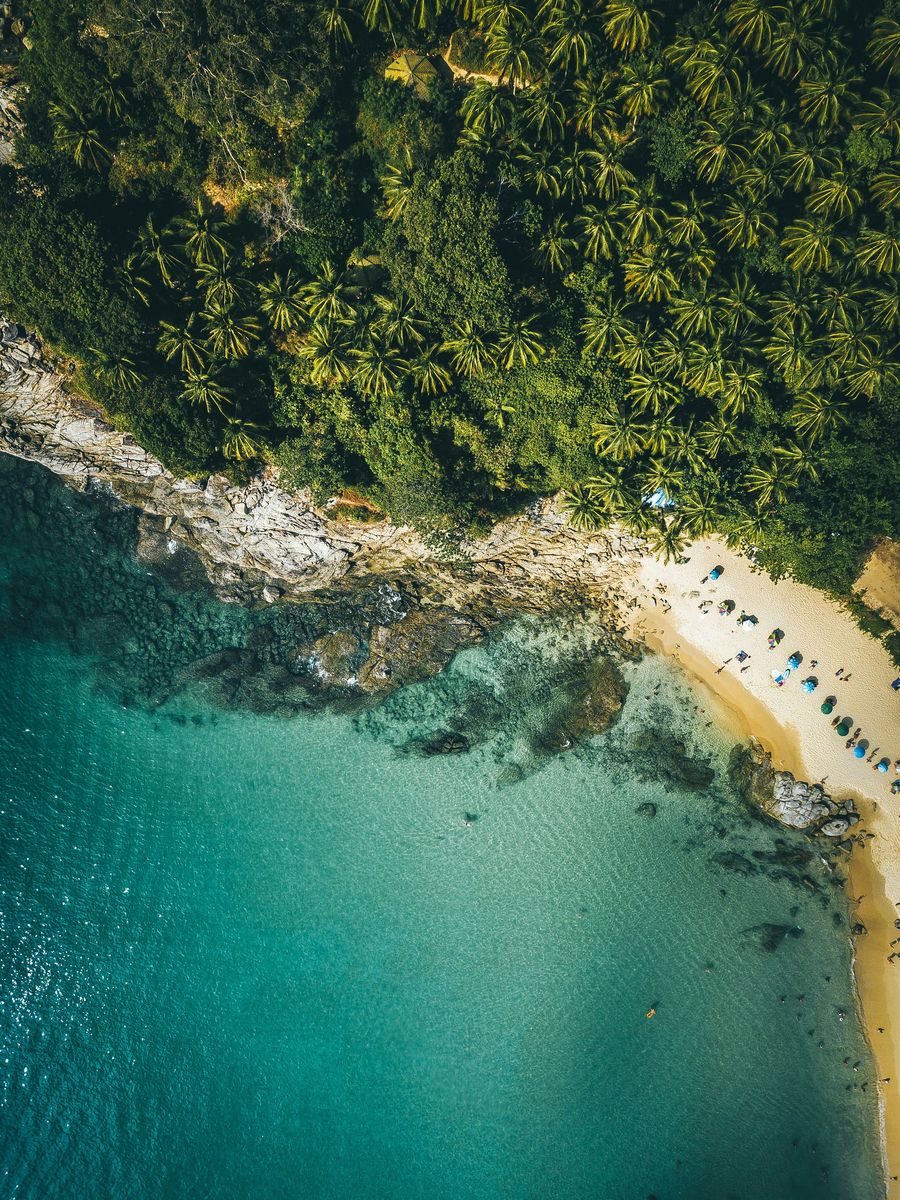 A jungle headland running out into a shallow reef.